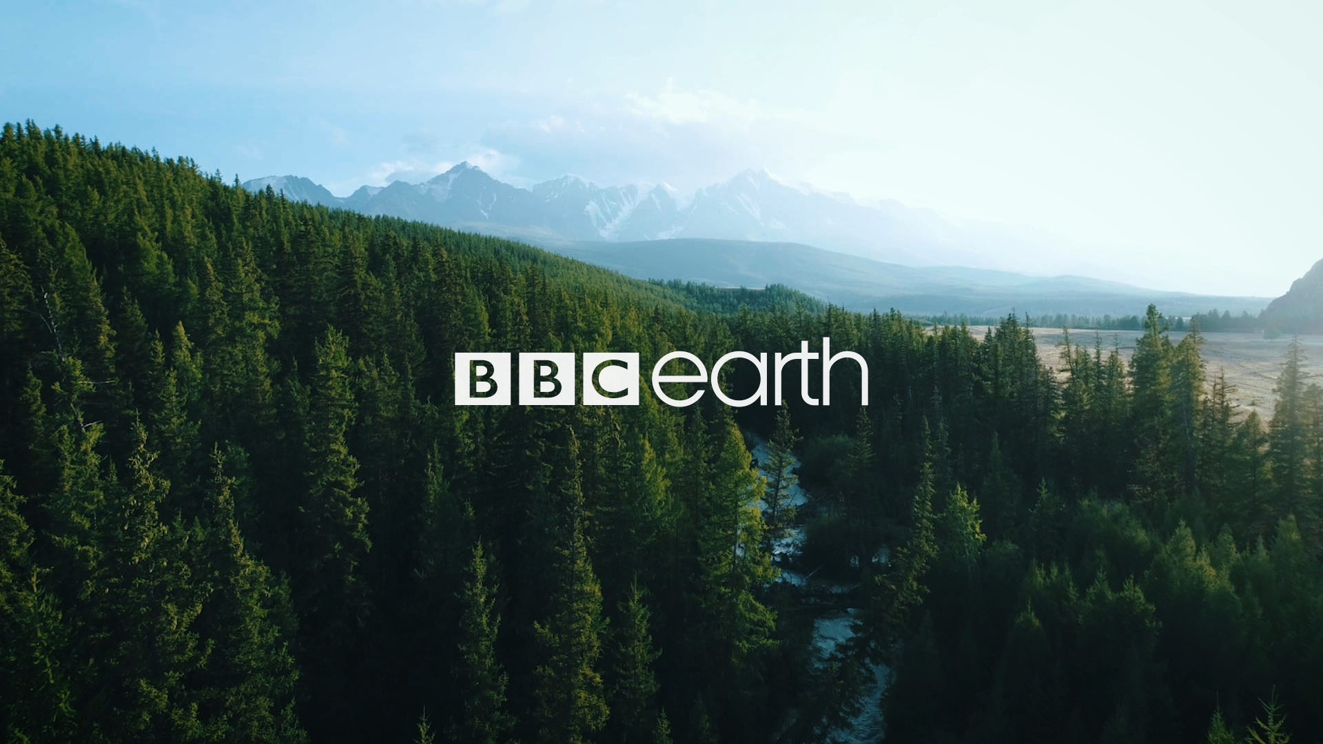 images/work/examples/bbc-earth-01.jpg