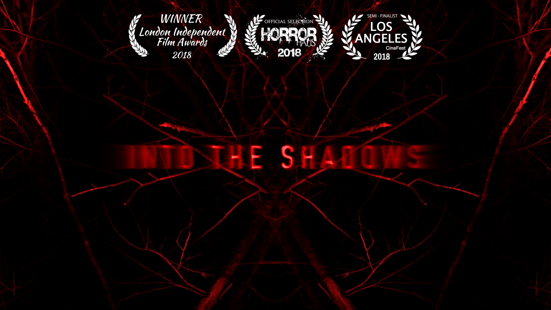tn-into-the-shadows-01