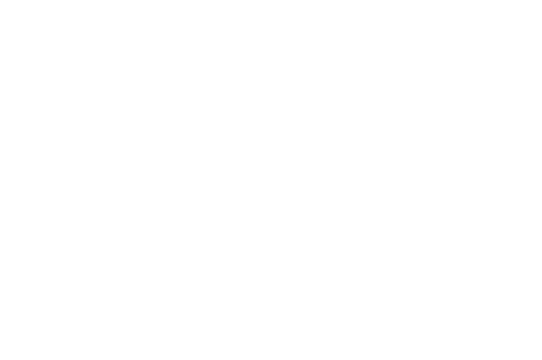 OFFICIAL SELECTION   Simply Shorts World Cinema   2017 White
